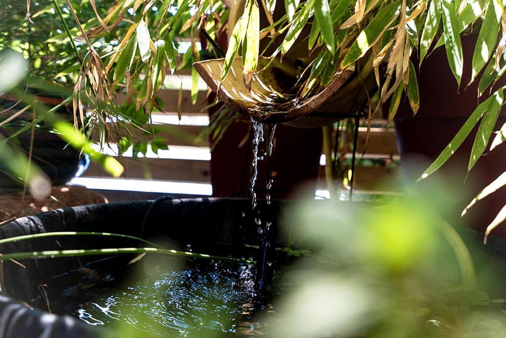 Logis Hotel- Hotel Restaurant Le Rialto Le Sequestre ภายนอก รูปภาพ